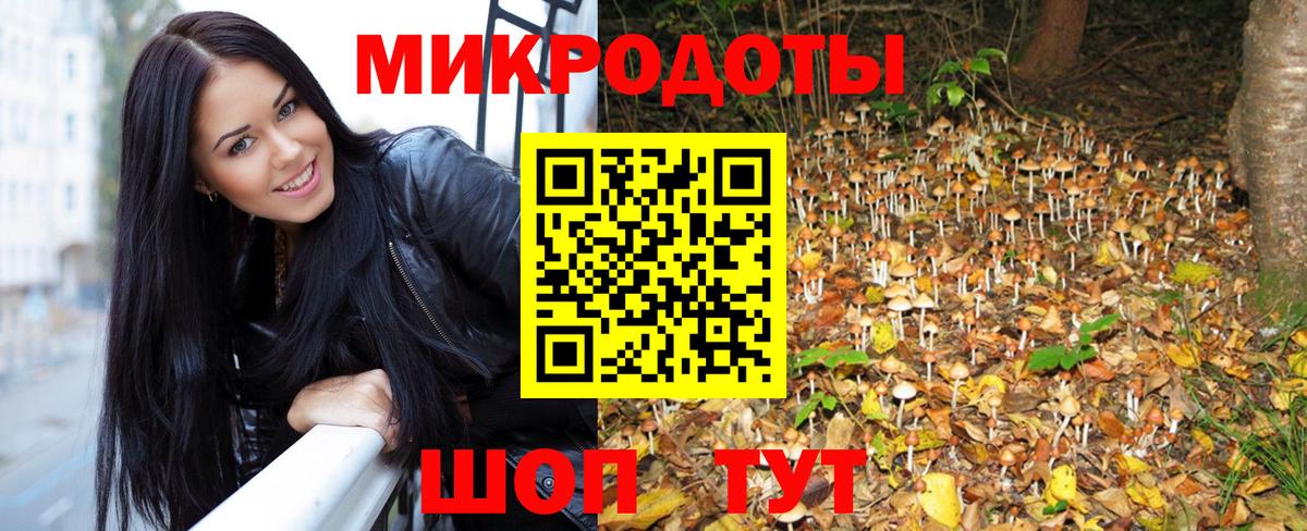 Псилоцибиновые грибы мухоморы Шадринск