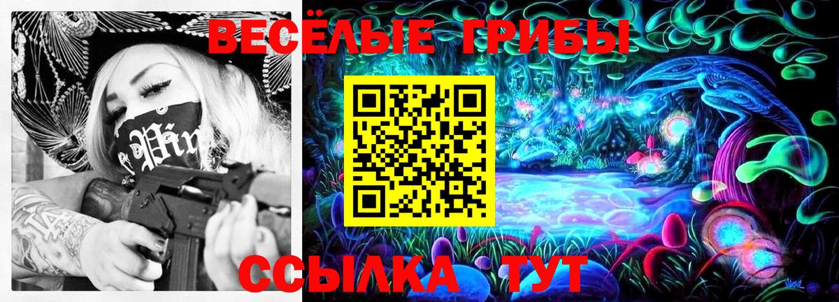 Шадринск  Галлюциногенные грибы мицелий  Вход с VPN  Псилоцибиновые грибы Magic Shrooms 