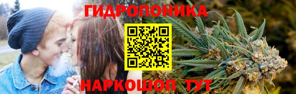 Конопля гибрид Шадринск